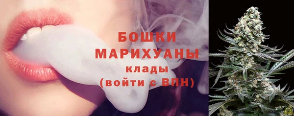 первитин Няндома