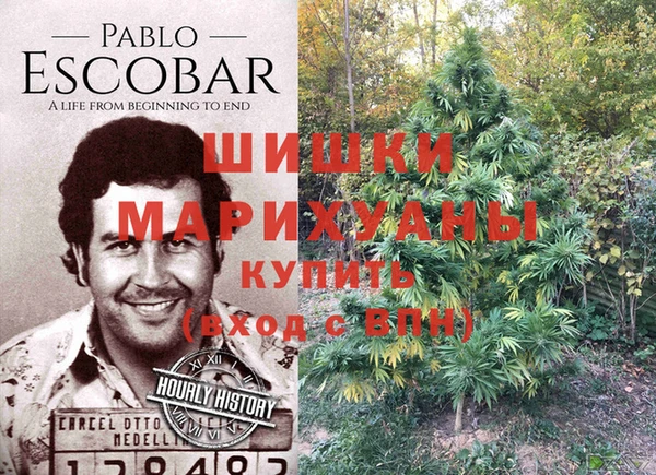 первитин Няндома