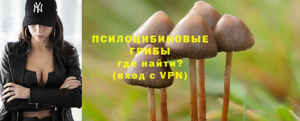 дурь Нягань