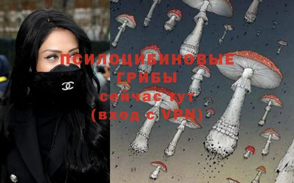 первитин Нязепетровск