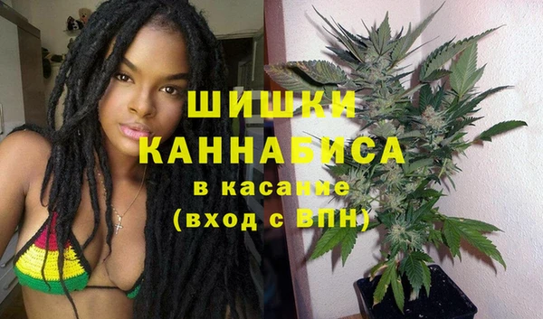 первитин Няндома