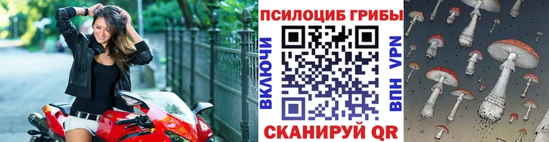 Купить  Тарко-Сале  Псилоцибиновые грибы Cubensis 